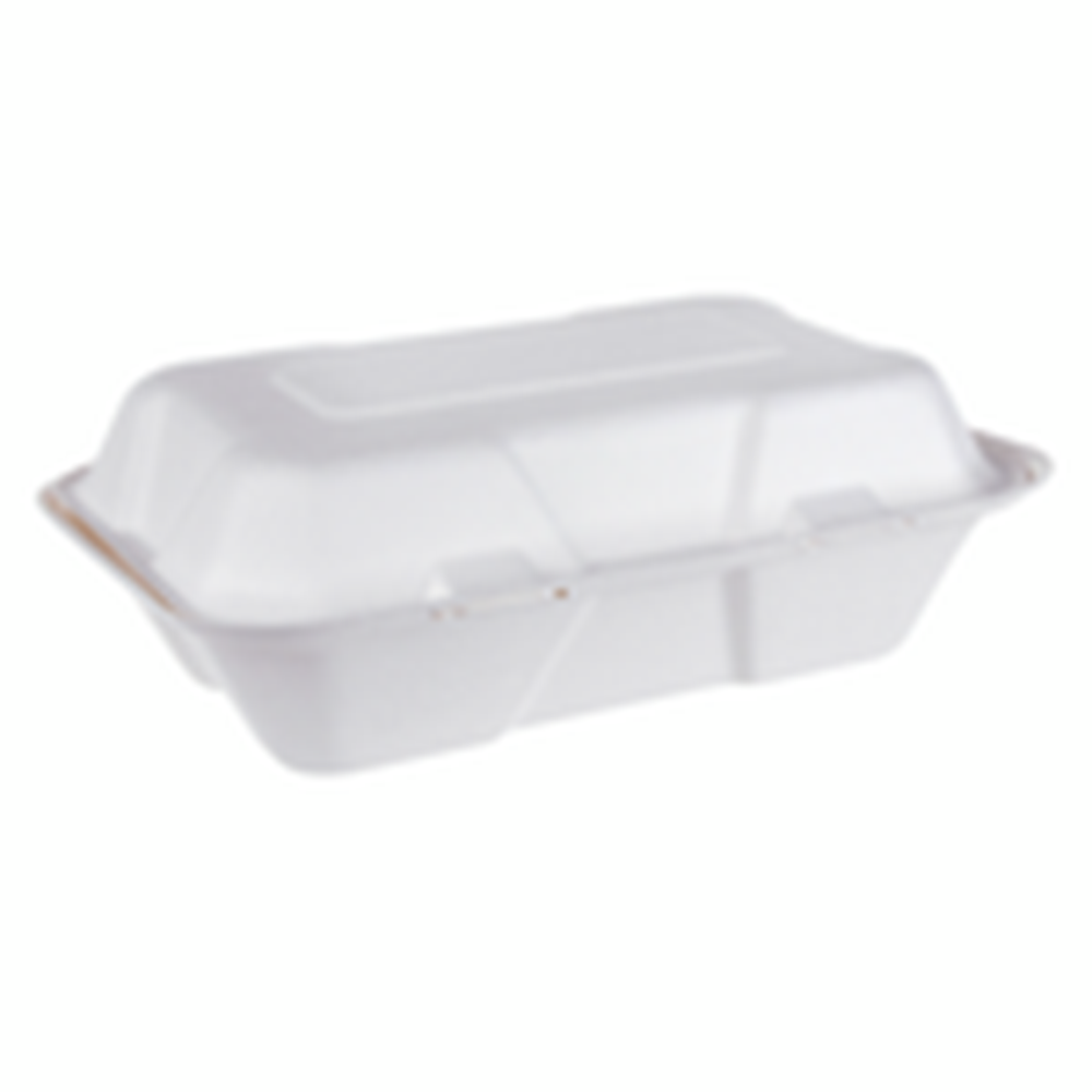 iEco Hinged Bagasse Containers 6x9 | 2 Packs of 50 | Compostable Takeout Clamshells | Eco-Friendly To-Go Boxes